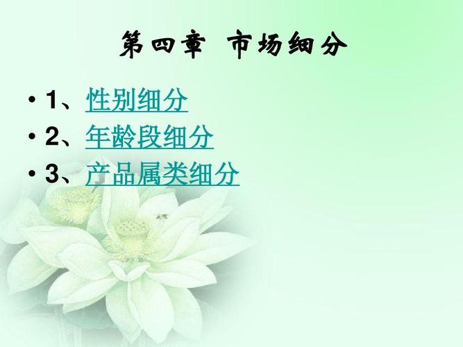 第四章 市场细分   1,性别细分 ,   2,年龄段细分 ,   3,产品属类细分
